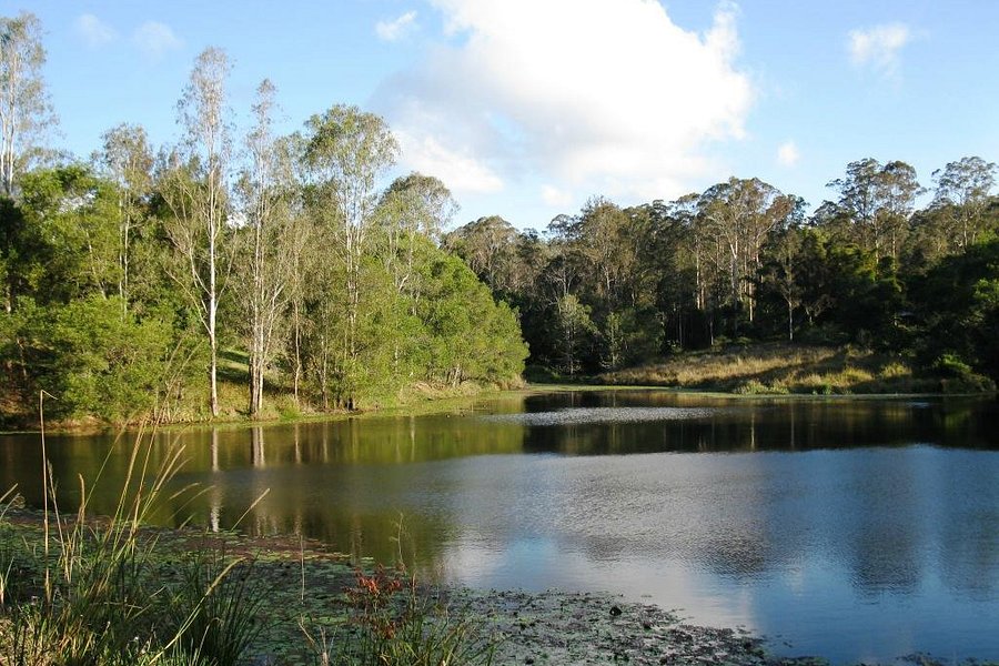 crystal-waters-eco-village