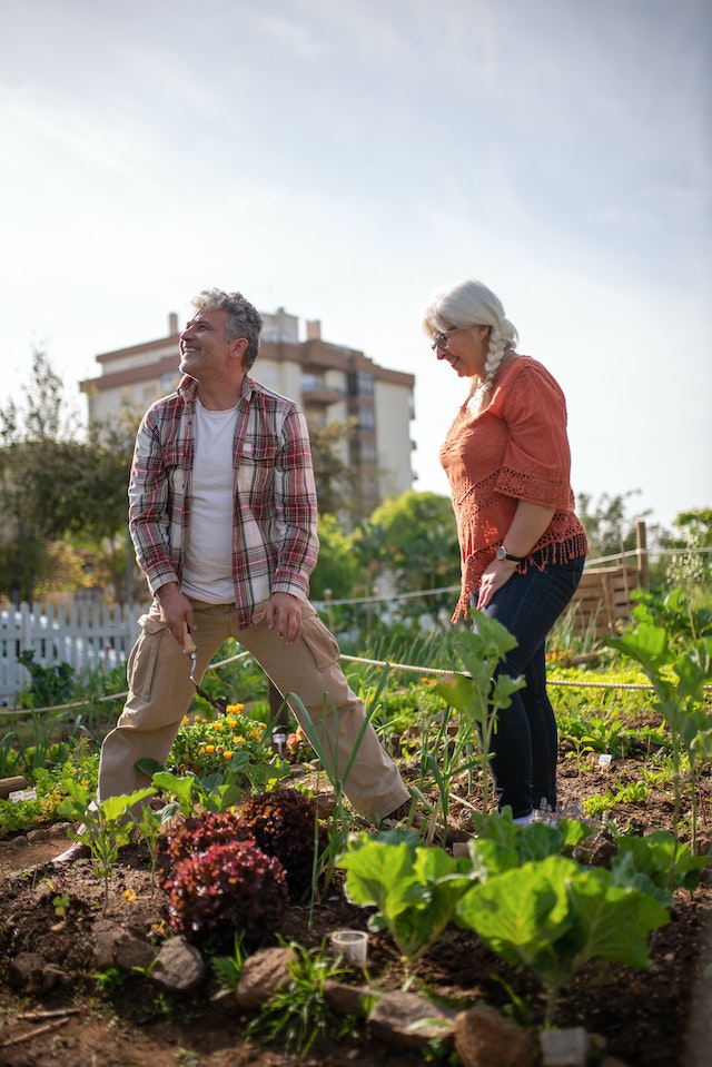 permaculture